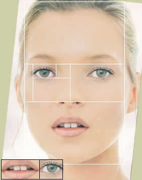 Illustration for article titled 15 Uncanny Examples of the Golden Ratio in Nature